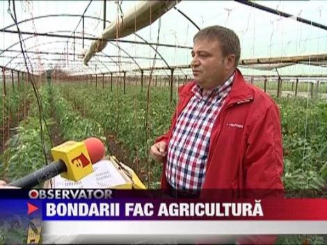 Bondarii ajuta agricultorii romani