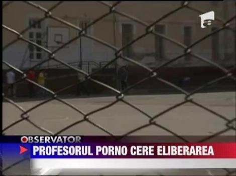 Profesorul din Mures arestat pentru pronografie, vrea in libertate