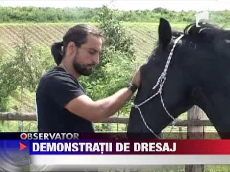 Demonstratii de dresaj