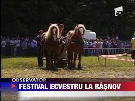 Festival ecvestru la Rasnov