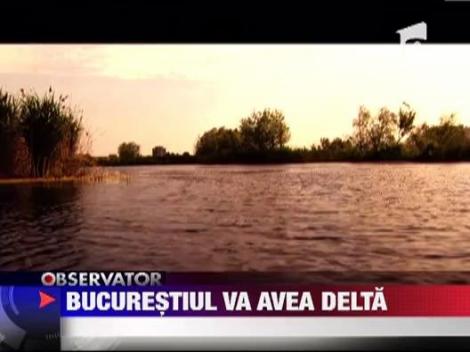 Capitala va avea o Delta in mijlocul orasului