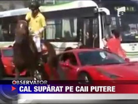 Un cal a lovit un Ferrari cu piciorul