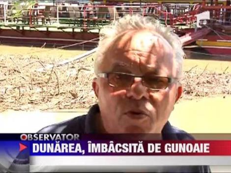Dunarea a fost invadata de gunoaie