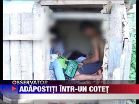 Bacau: Doi copii dorm in cotet cu animalele, dupa ce ploaia le-a distrus casa