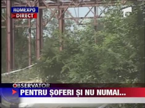 Demonstratii de viteza la show-ul auto moto de la Romexpo