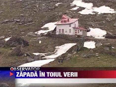 Zapada in toiul verii