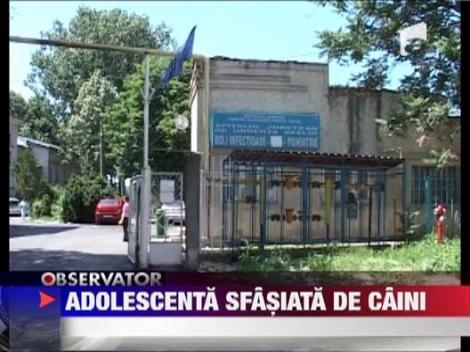 Adolescenta sfasiata de caini