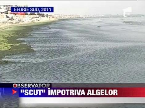 Baraj din plasa in largul Marii Negre pentru a opri algele sa ajunga pe plaje