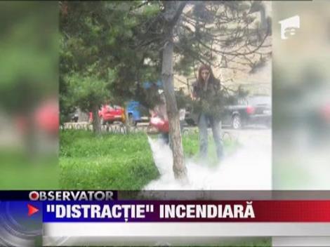 Au dat foc la un brad in timpul pauzei dintre orele de curs