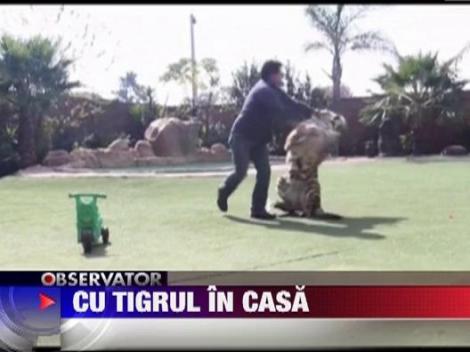 Cu tigrul in casa