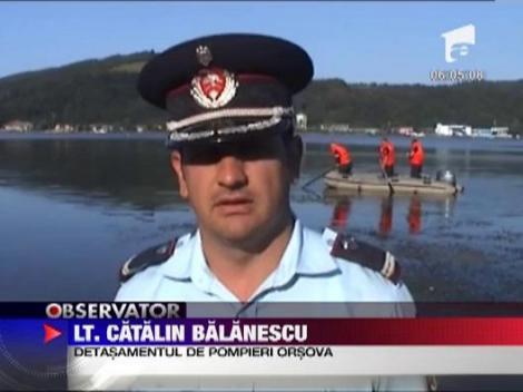 S-a inecat de ziua lui in apele Dunarii