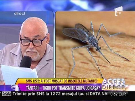 Mijloace naturiste impotriva tantarilor!