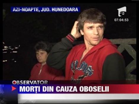 Accident cumplit in Hunedoara: Duba spulberata de un TIR