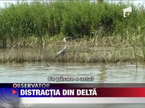 Distractia din Delta Dunarii