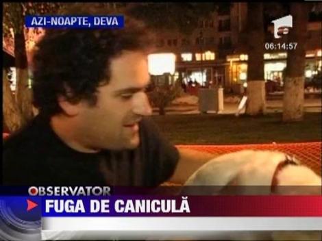 Canicula aglomereaza terasele