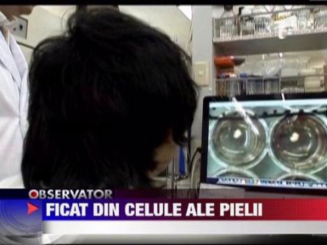 Oameni de stiinta au creat un ficat folosind celule extrase din piele