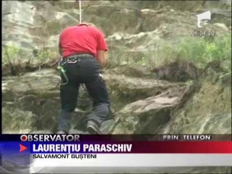 Furtunile au facut ravagii in mai multe localitati din tara