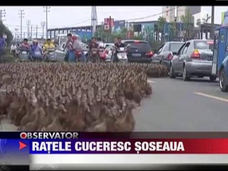 Aproape 5000 de rate au blocat traficul in China