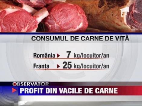 Strainii au inceput sa creasca vaci de carne in Romania