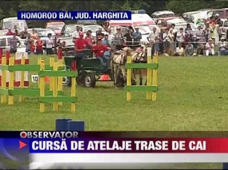 Cei mai buni vizitii din Romania