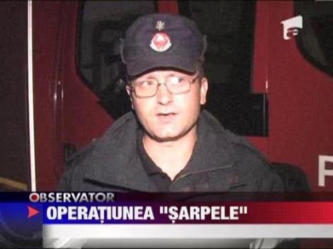 Un sarpe a pus pompierii pe jar in Botosani