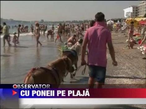 Cu poneii pe plaja