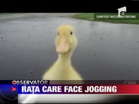 Rata care face jogging