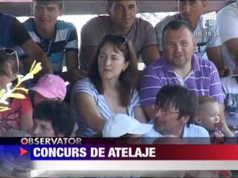 Cei mai buni cai si cei mai experimentati vizitii se intrec in Bistrita