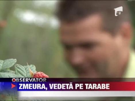 Zmeura, vedeta pe tarabe
