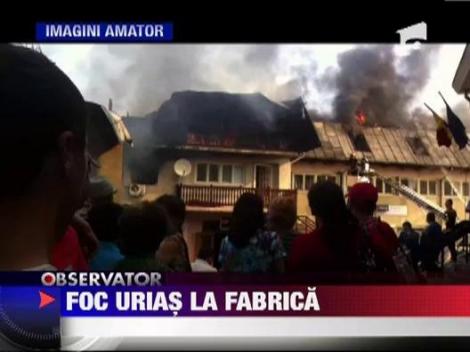 Foc urias in centrul orasului Nehoiu