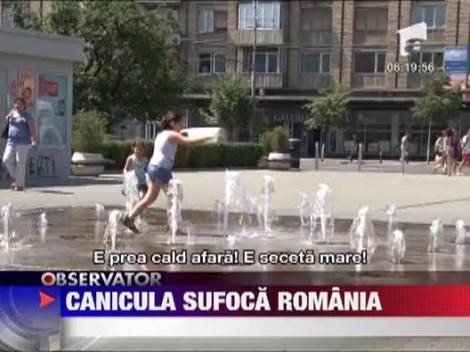 Canicula sufoca Romania