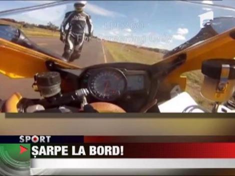 Un motociclist brazilian s-a trezit cu un sarpe la bord, la 200km/h