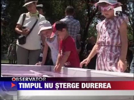 Militarii care si-au pierdut viata in urma unui accident aviatic la Tuzla, comemorati