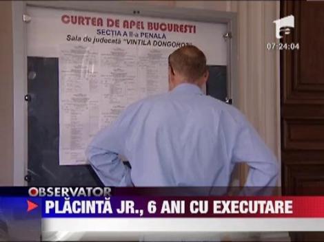 Fiul senatorului PNL (ex PDL) Sorina Placinta, condamnat la 6 ani de inchisoare cu executare