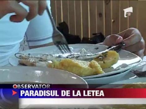 Paradisul de la Letea