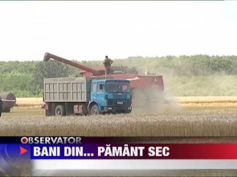 Cum poti castiga milioane de lei la o singura recolta