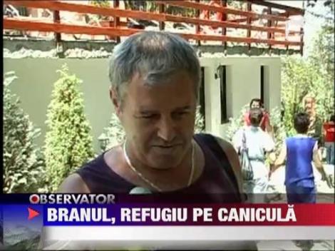 Zona Bran-Moeciu, refugiu pe canicula