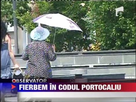 "112", CANICULA! Mii de apeluri la ambulanta, angajatorii se fac ca ploua