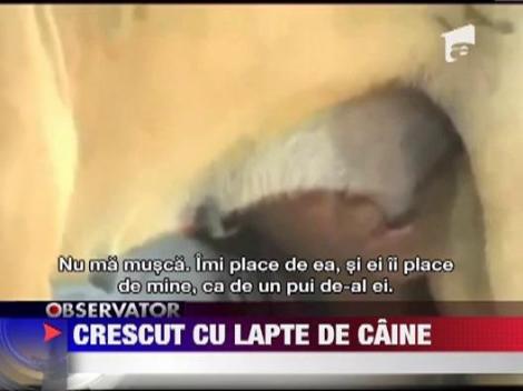 Saracie extrema in India: Un baiat de 6 ani se hraneste cu lapte de caine