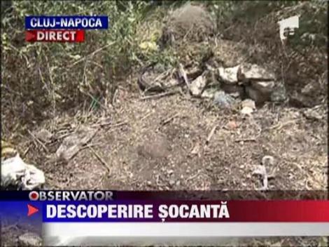 Un craniu si cateva ramasite umane, descoperite in apropierea unei piete din Cluj-Napoca