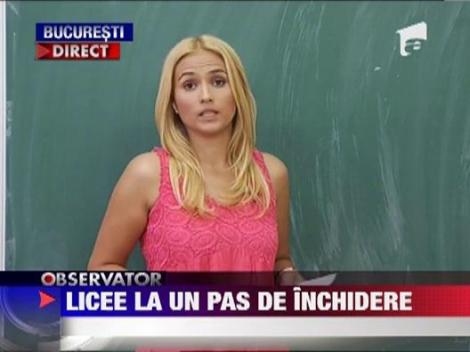 Ecaterina Andronescu, dupa rezultatele Bacalaureatului 2012: "Nu exclud desfiintarea unor licee"
