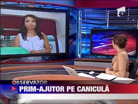 Romania se topeste la 40 de grade Celsius -  Mii de apeluri, la ambulanta