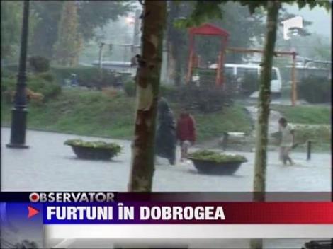 Furtuna in Dobrogea