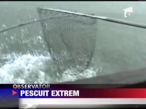 Captura unei tinere amatoare de pescuit a fost furata de un rechin