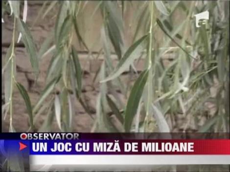 EXCLUSIV! Sah mat in schema evaziunii fiscale de 15 mil. €: Oameni simpli, folositi in tranzactii ilegale