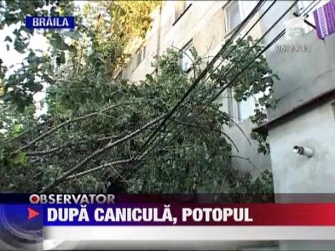 Furtunile au facut ravagii in mai multe zone din tara