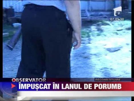 Un barbat a fost impuscat in lanul de porumb pe care il pazea