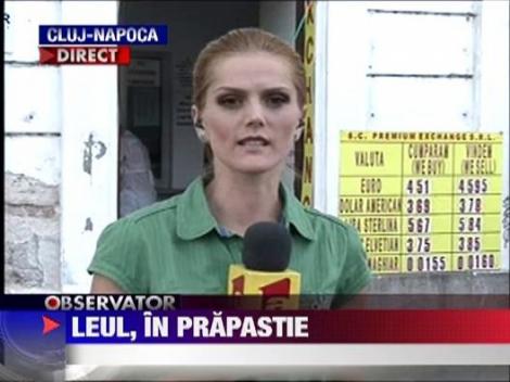 Leul se adanceste in prapastie