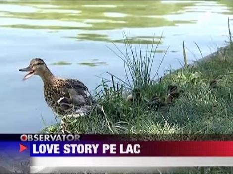 Parcurile din Bucuresti au devenit stranduri pe timp de canicula