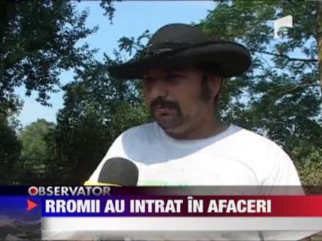 Rromii din Ardeal s-au apucat de agricultura